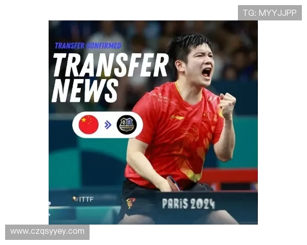 德甲乒乓球联赛官网全面升级 提供赛事资讯 球员动态及精彩视频回放