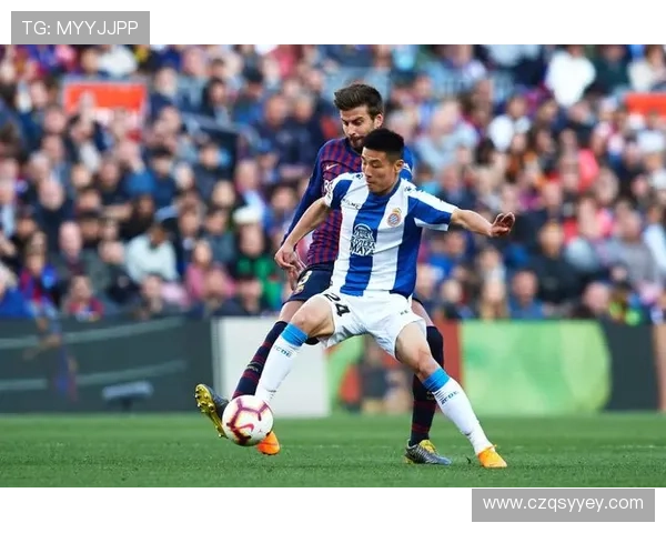 新赛季展望：狼队崛起之路，年轻核心挑战西部强队地位